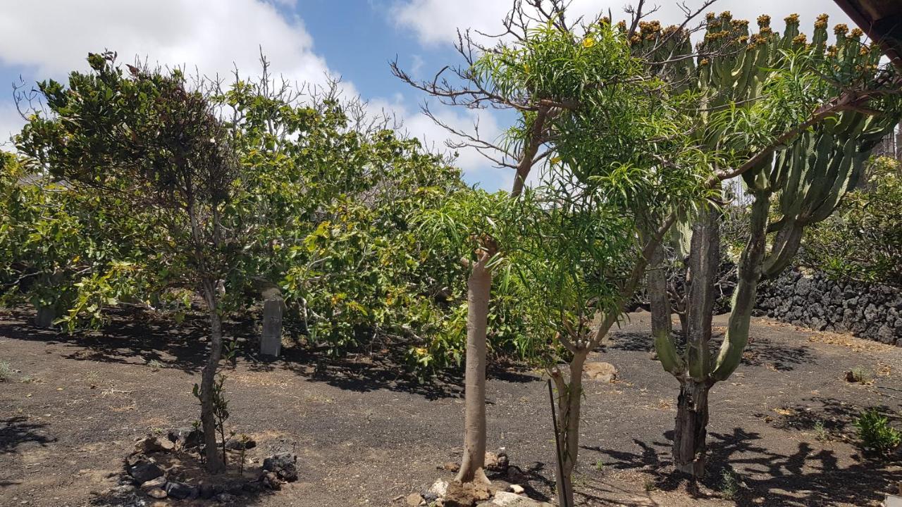 Finca Relax, Sea View, Oasis Vasiliko, La Asomada 티아즈 외부 사진