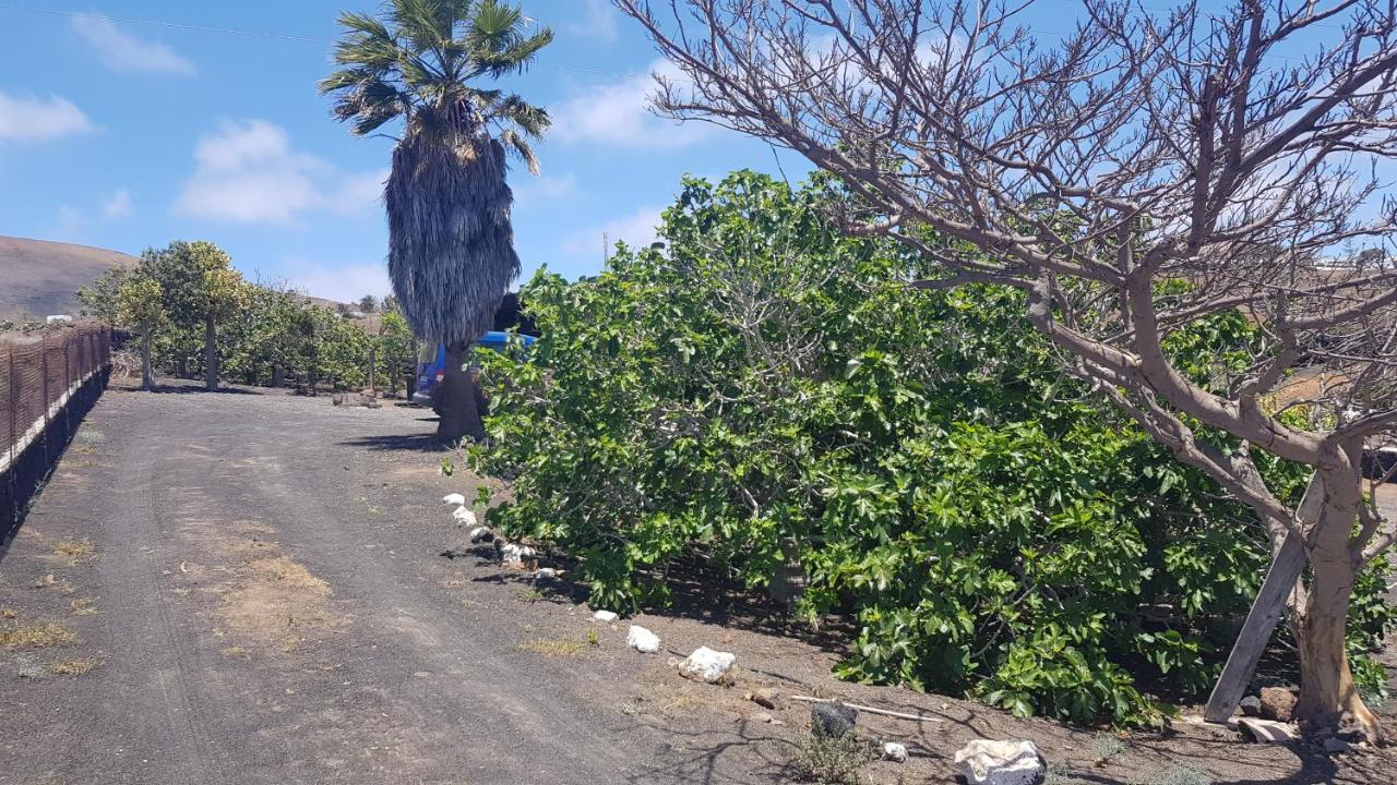 Finca Relax, Sea View, Oasis Vasiliko, La Asomada 티아즈 외부 사진