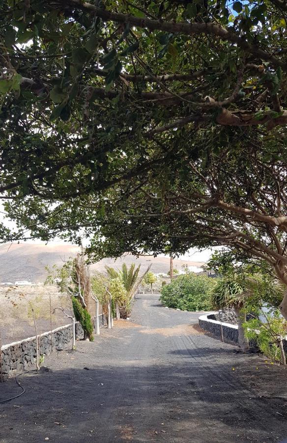 Finca Relax, Sea View, Oasis Vasiliko, La Asomada 티아즈 외부 사진